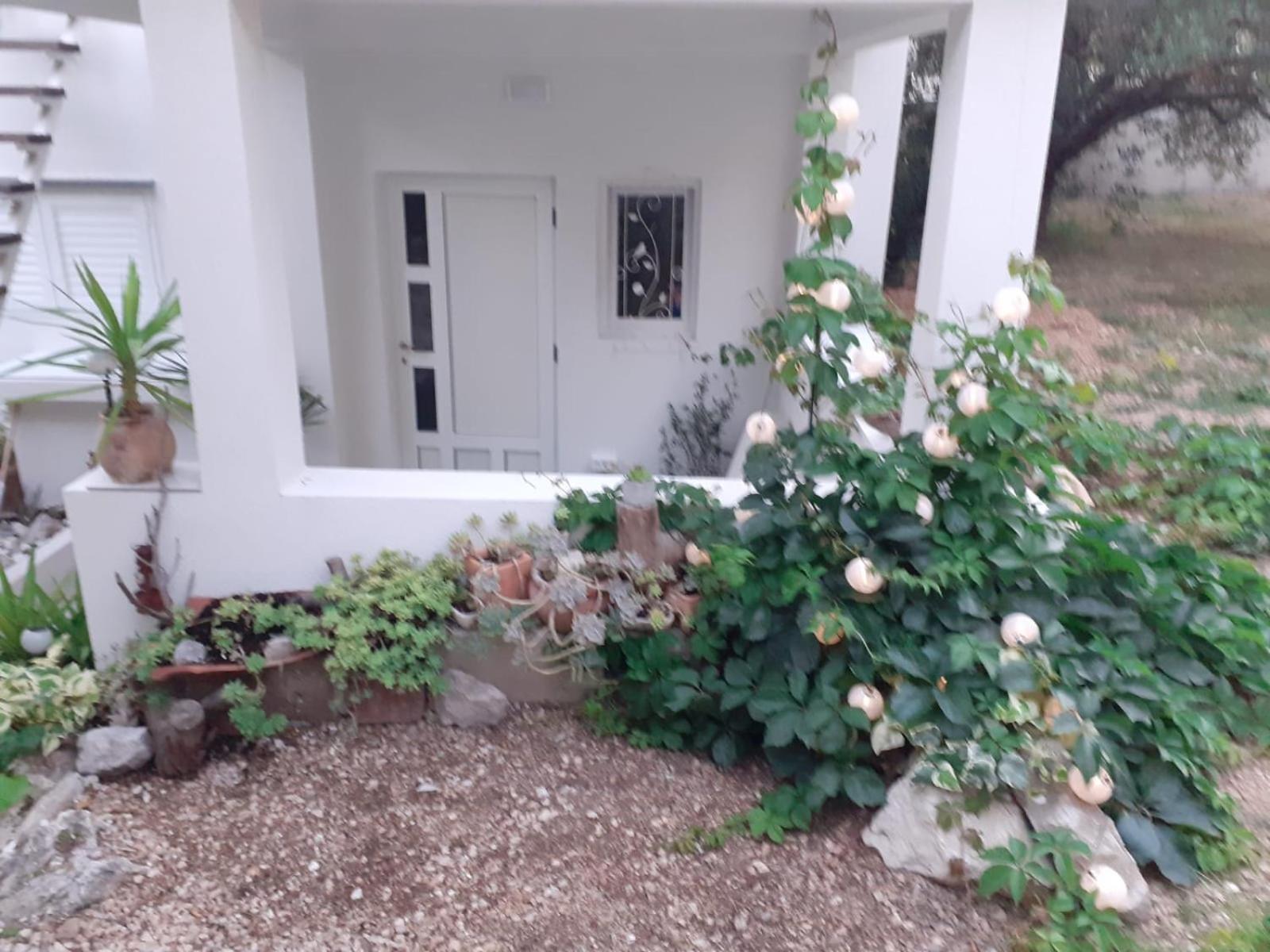 מאקרסקה Villa Ana חדר תמונה